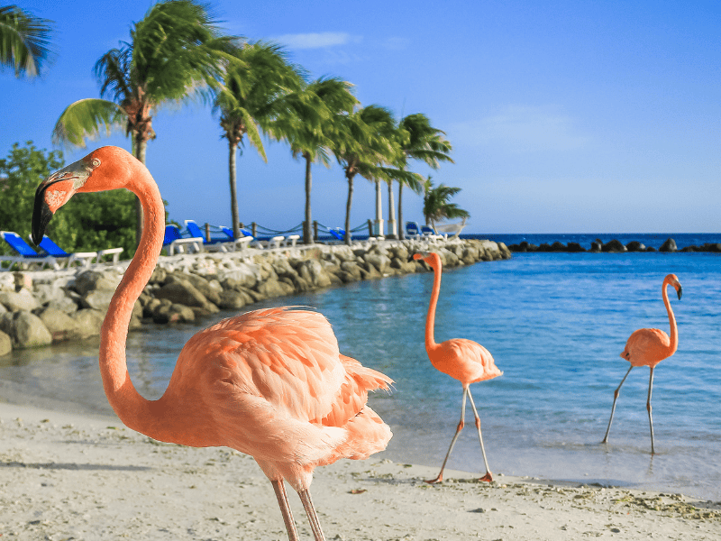 9 beste Inseln zu Besuch im Oktober