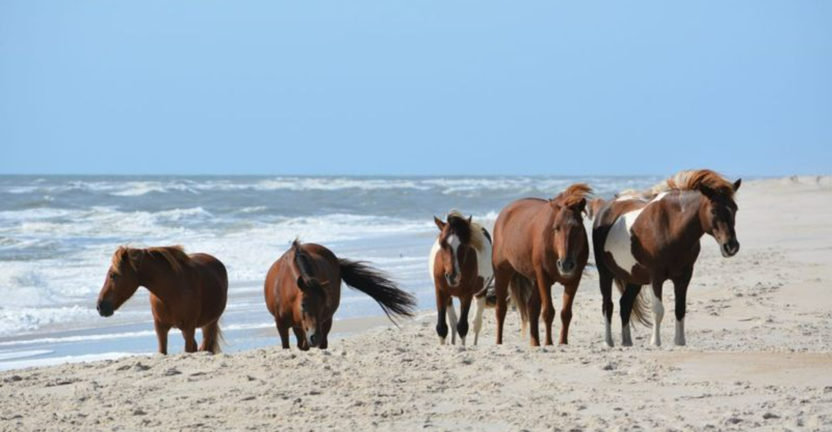 14 billige Strandstädte in den USA, die überdeteil 