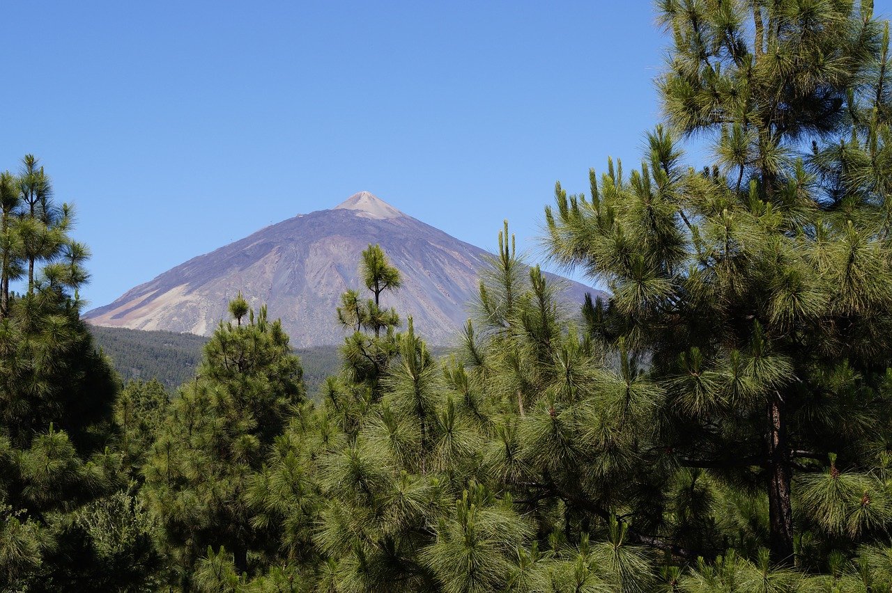 Alternative nicht-touristische Dinge in Teneriffa zu tun