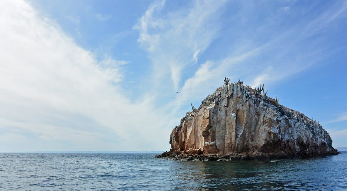 Ein unvergessliches Abenteuer auf mexikanischer Insel heilig