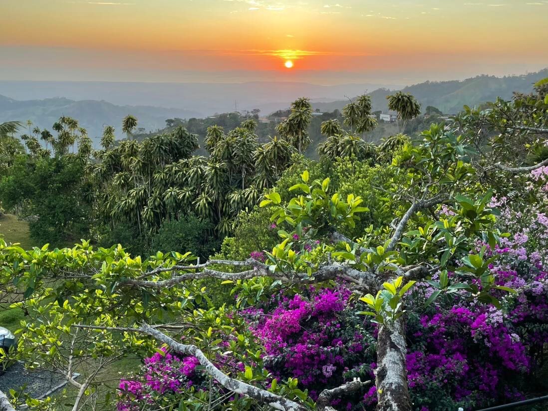 Costa Rica Treehouse Airbnb Review (Atenas)