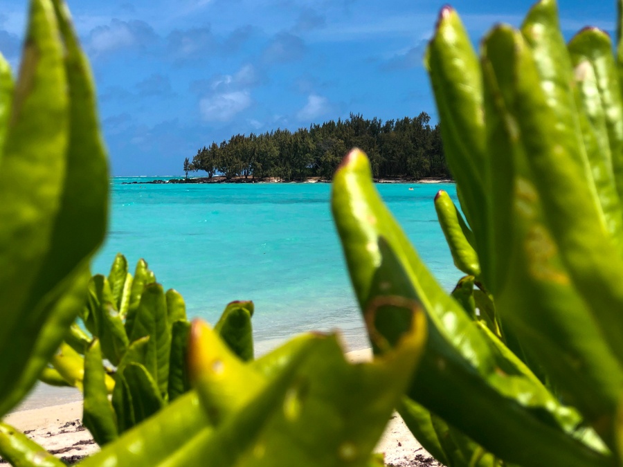 Beste Mauritius-Touren: Top-bewertete Mauritius-Exkursionen, die Sie lieben werden