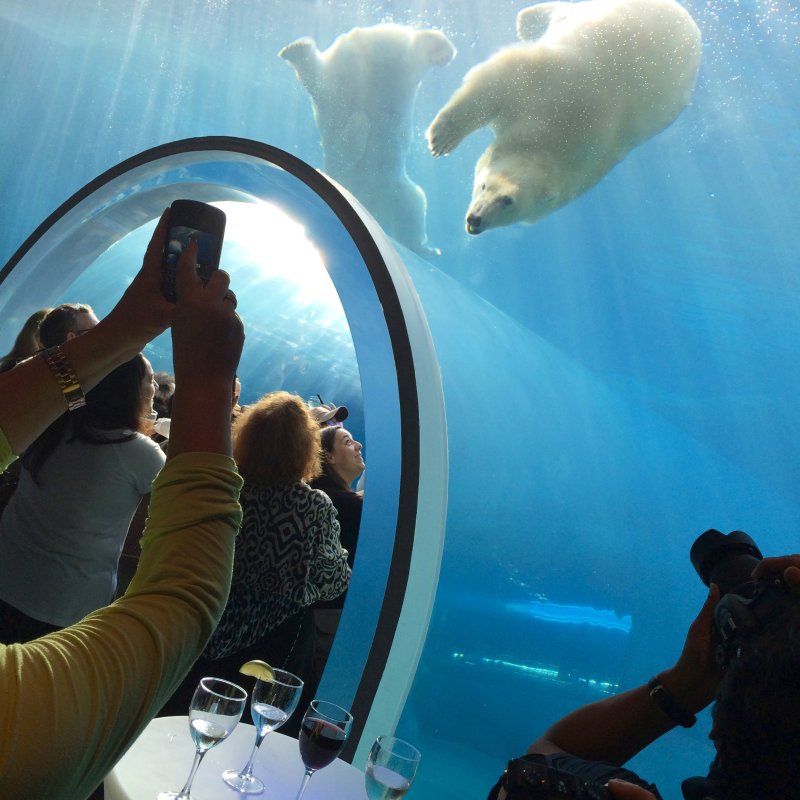 Assiniboine Park Zoo 