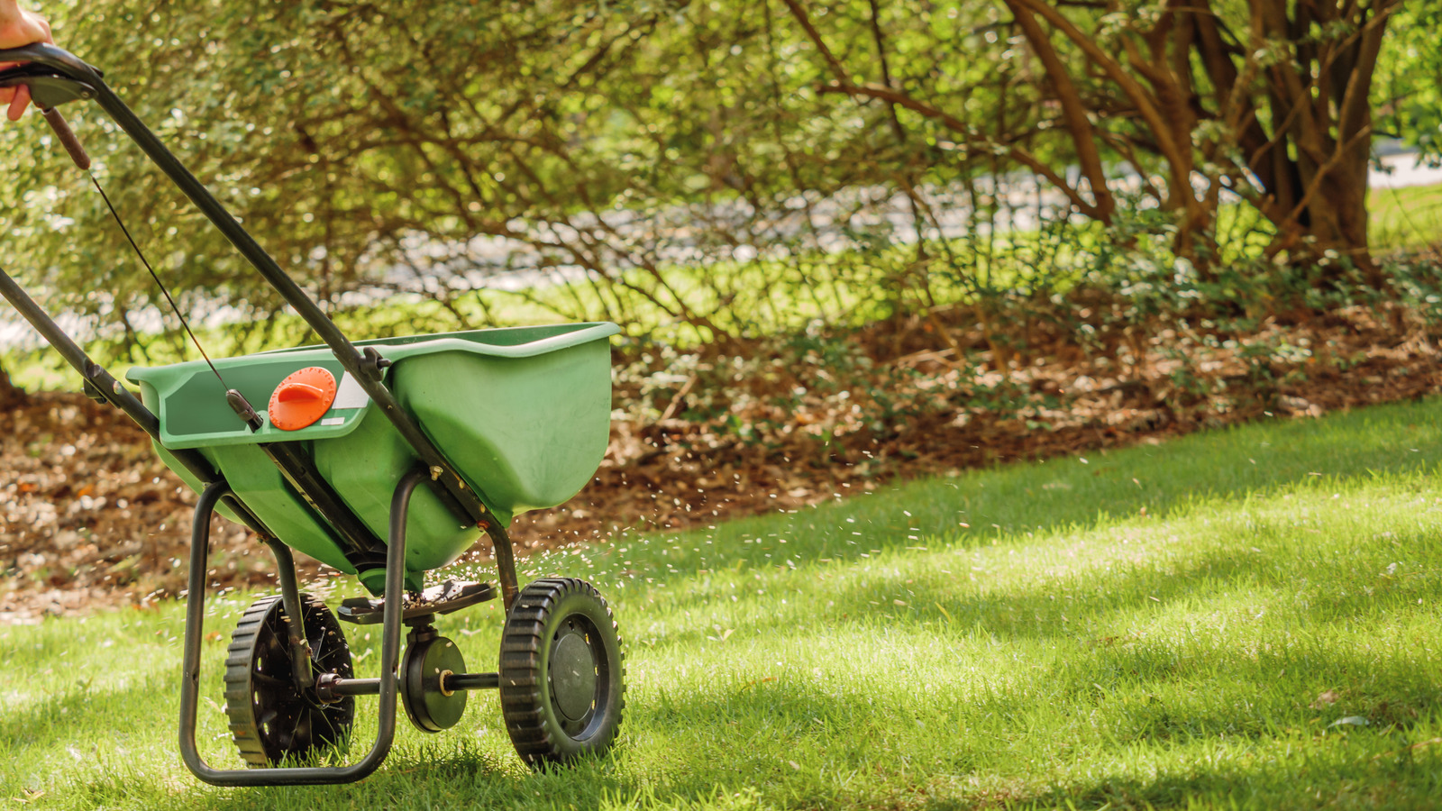 So stellen Sie fest, ob Pearl's Premium-Grassamen für Ihren Garten geeignet sind