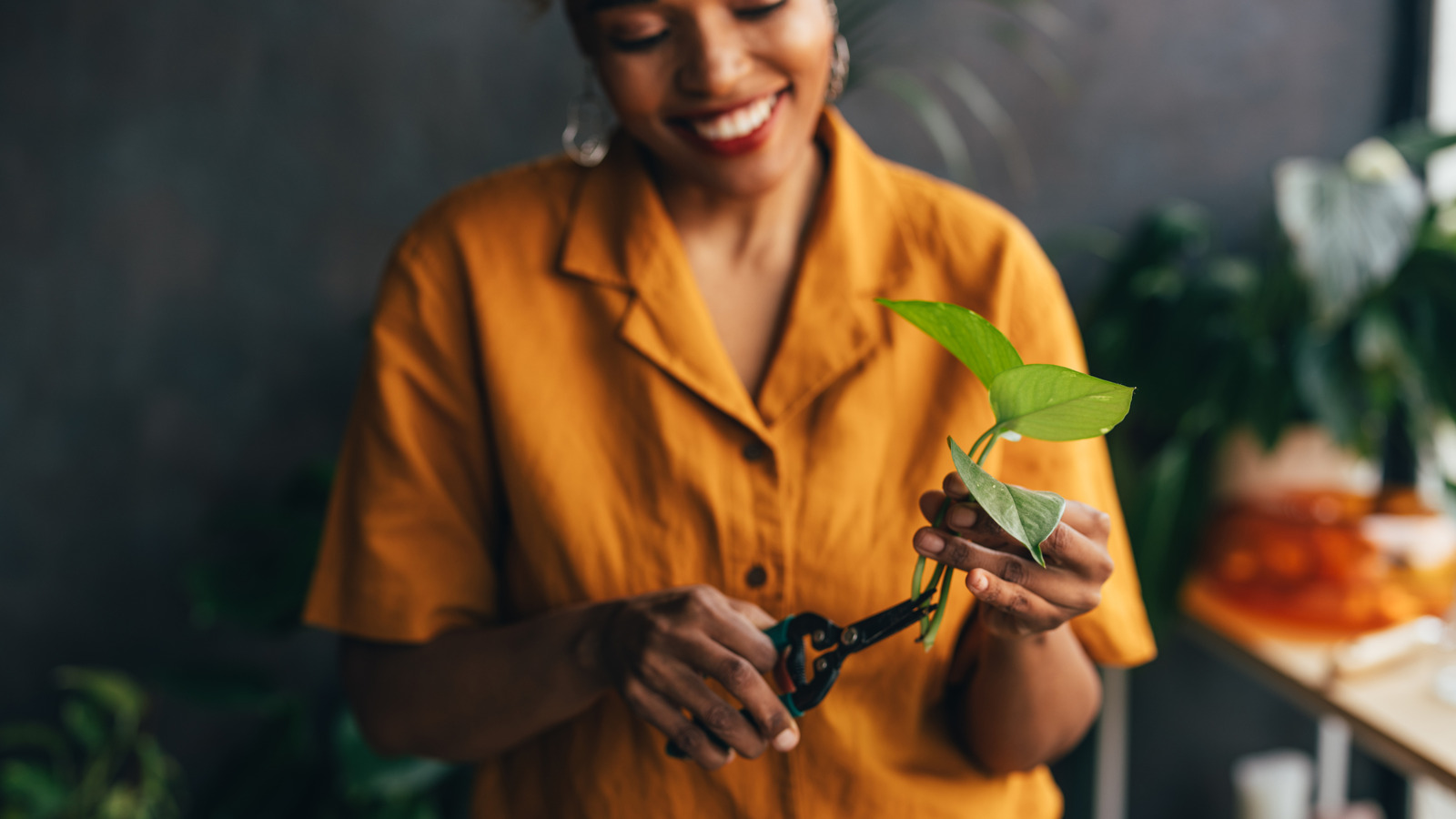 Mithilfe leerer Medizinflaschen einfach die Anlagenausbreitung machen lassen